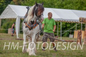 Fuhrmannstag_20190812 (13)