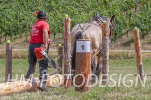 Fuhrmannstag_20190812 (19)