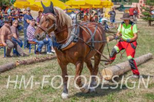 Fuhrmannstag_20190812 (21)