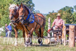 Fuhrmannstag_20190812 (40)