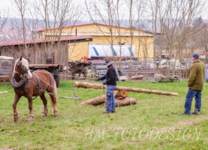 Holzrückekurs_2190406 (20)