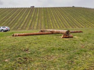Parcouraufbau_Stetten_20190310 (3)