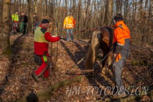 Waldtag (3)