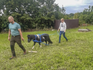 IMG-20210823-WA0021