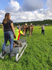 IMG-20210827-WA0003
