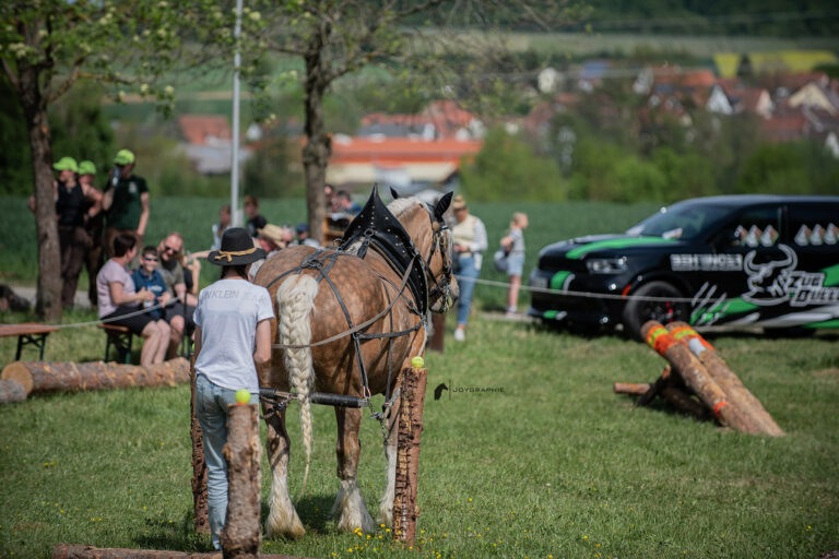 DSC_9304